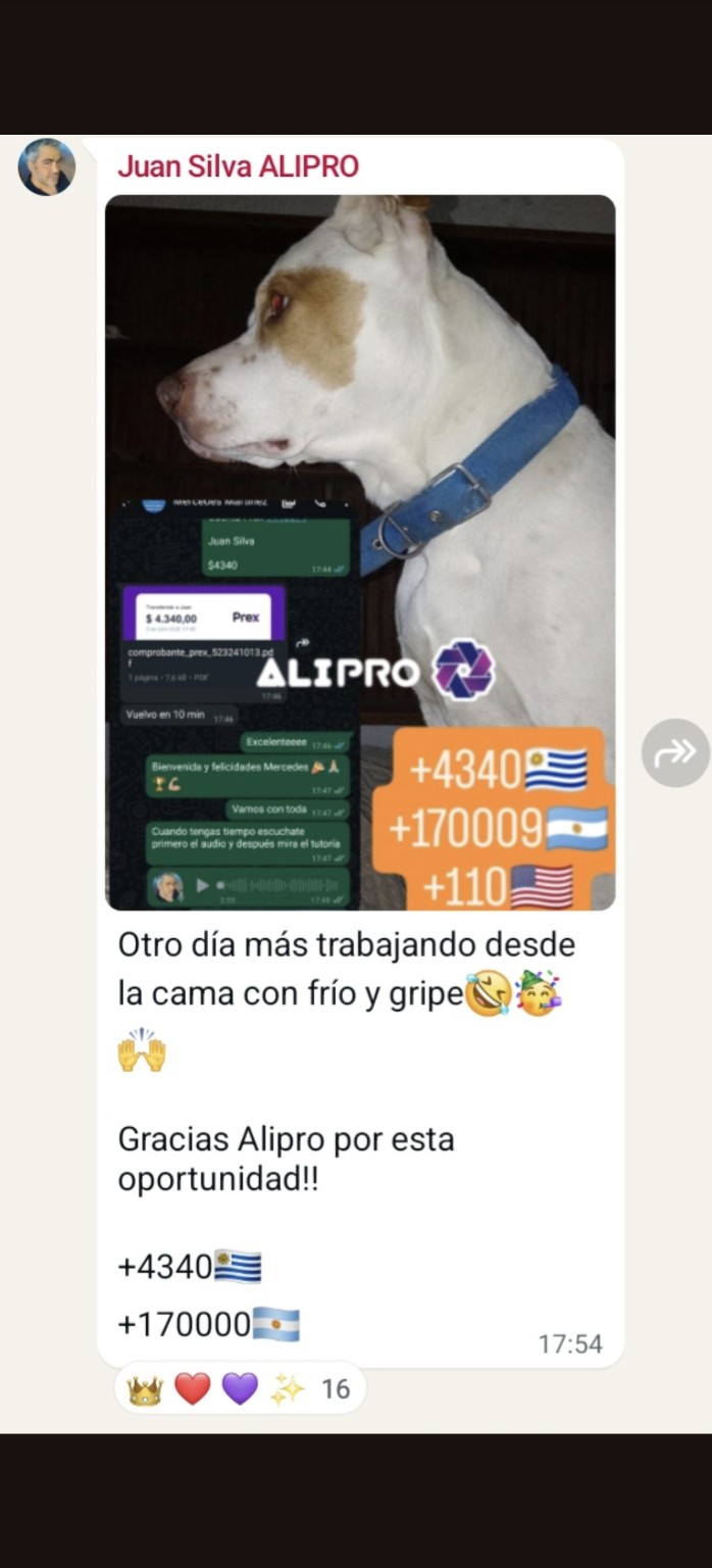 Resultado compartido por Juan Silva en la comunidad ALIPRO